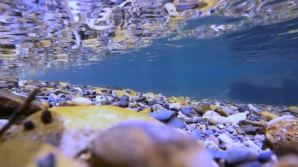 Wakayama — photo 5