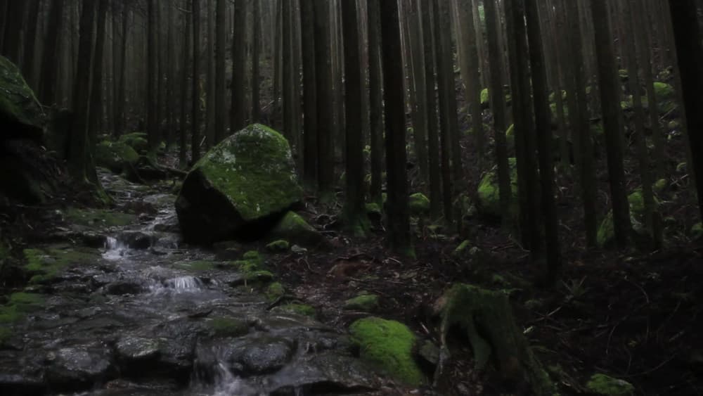 Wakayama — photo 12