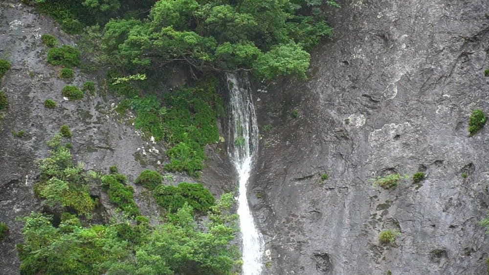 Wakayama — photo 10