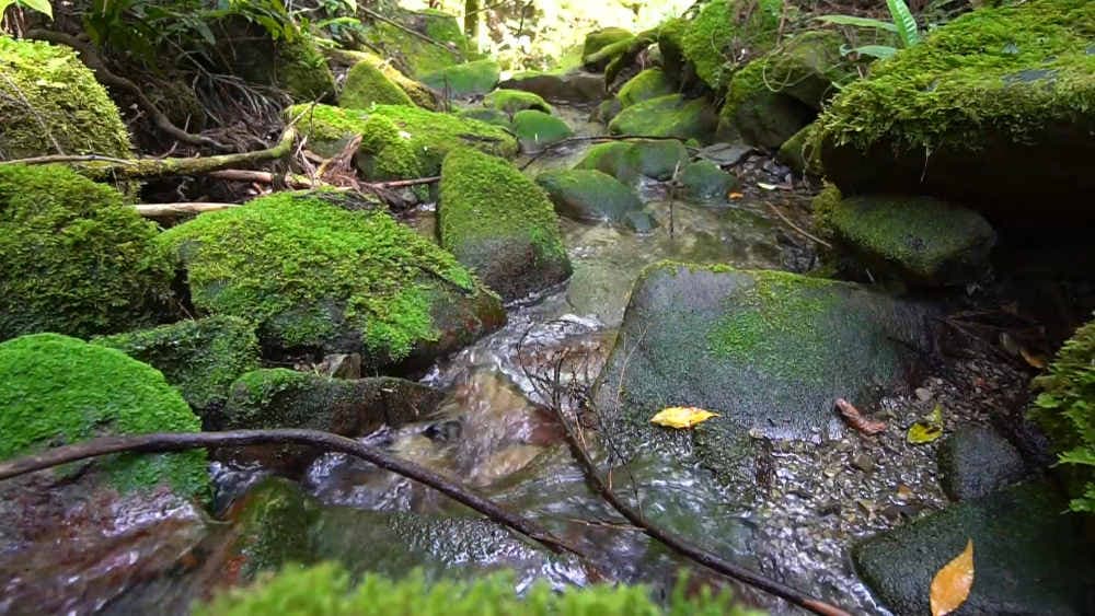 Wakayama — photo 11