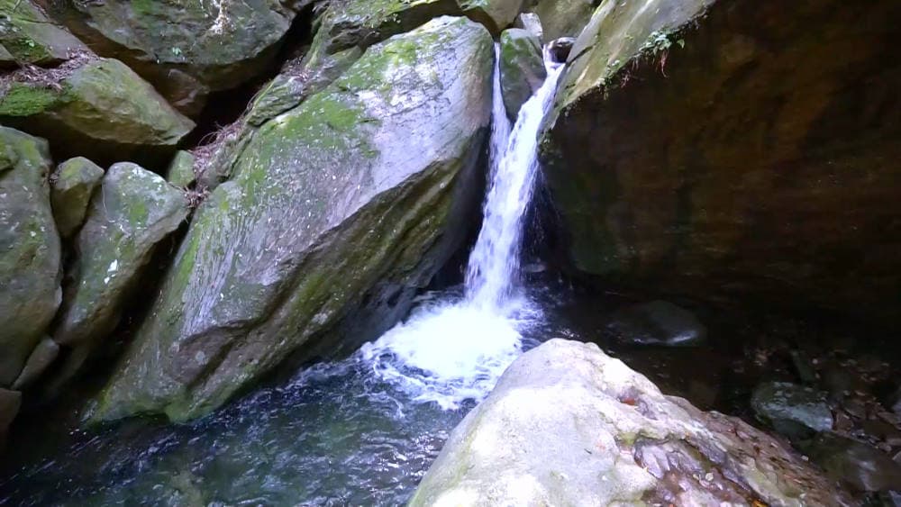 Wakayama — photo 6