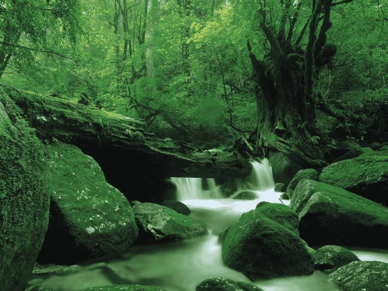 Kagoshima — photo 2