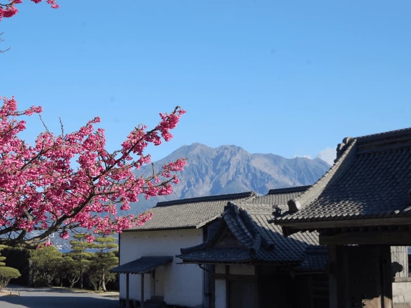 Kagoshima — photo 5