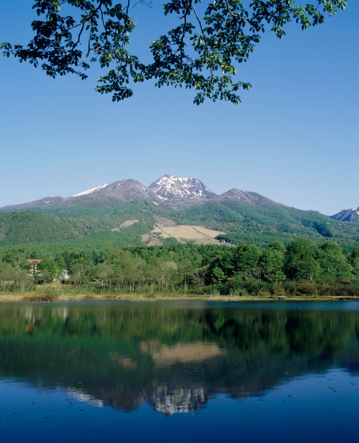 Niigata — photo 14