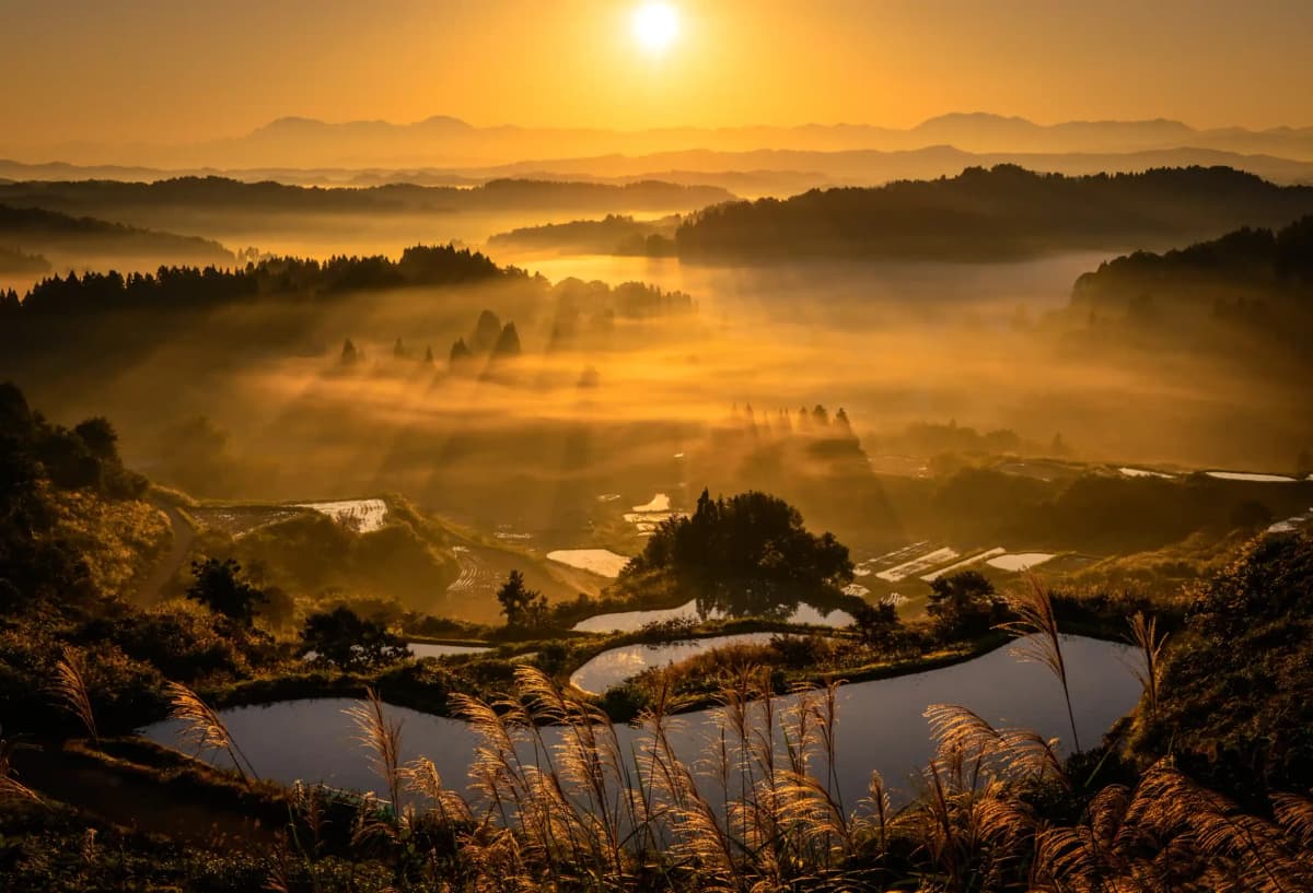 Niigata — photo 10