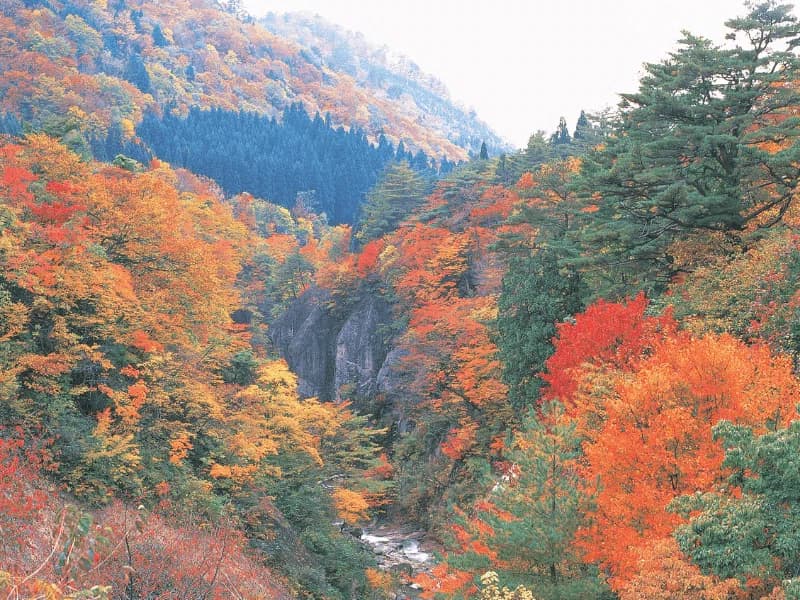 Yamagata — photo 10