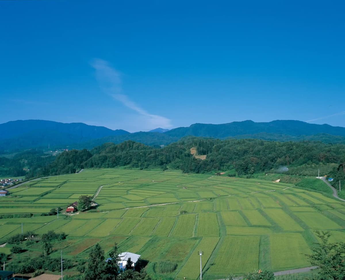 Yamagata — photo 8