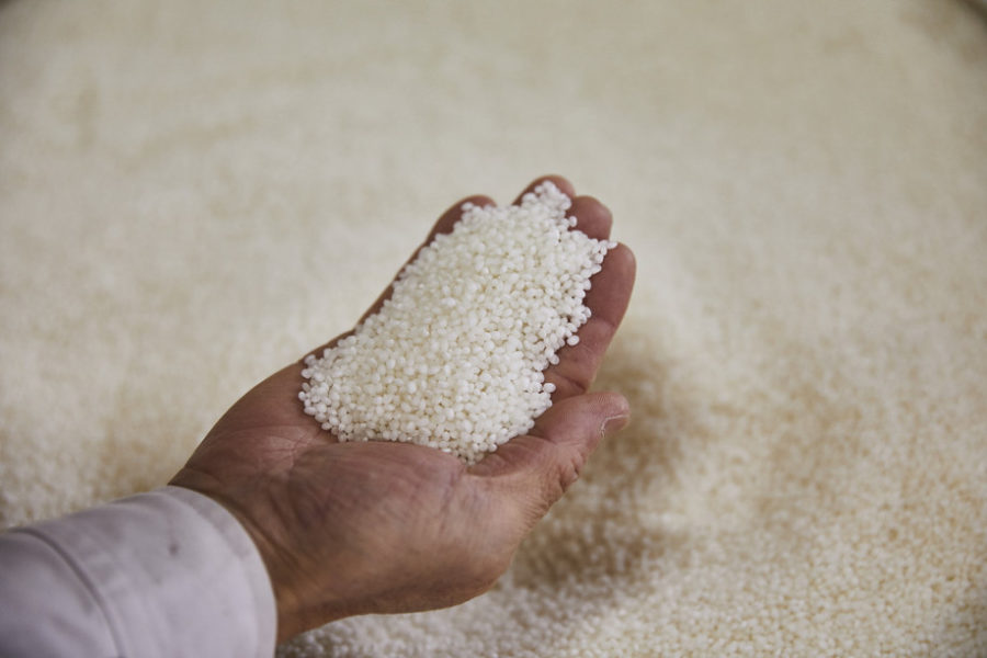 riz à saké sur une main