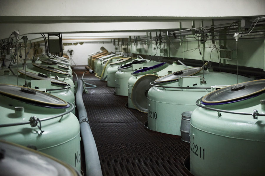 salle avec cuves pour fabrication saké
