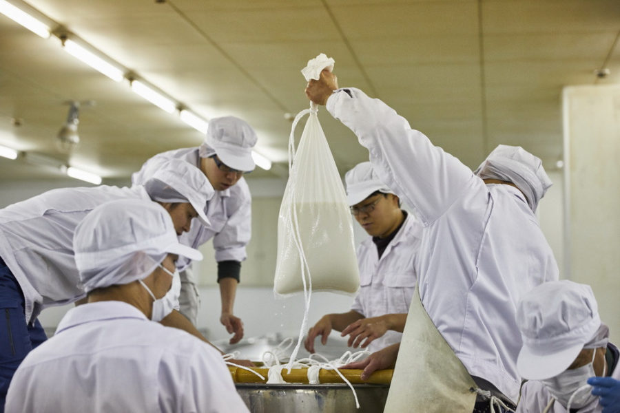 étape fabrication saké riz