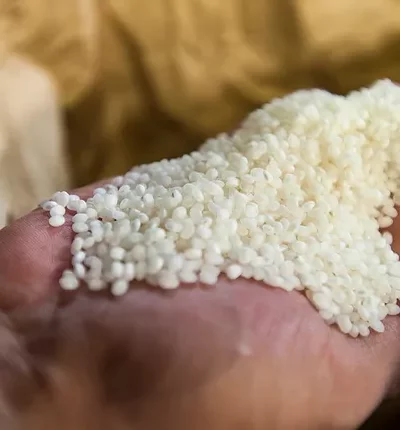 WEWANTSAKE - Sakés - Fabrication Régions - Explications (6) grains de riz