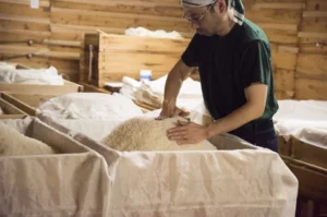 Komatsu Sake authentique producteur japonais japon Saga alcool vin artisanal