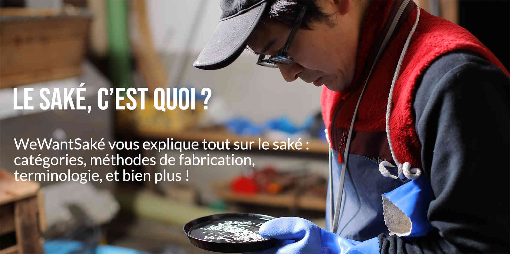 Le Saké, c'est quoi? homme regardant une assiette avec du riz. texte écrit : Le saké c'est quoi?
