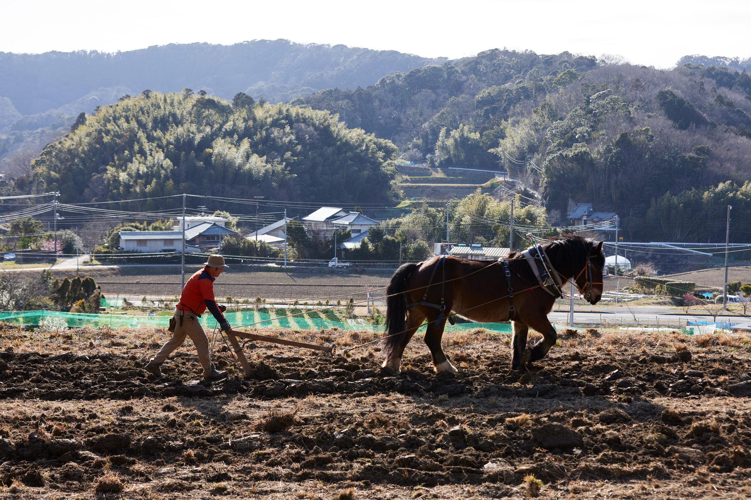 homme préparant la terre grâce à un cheval