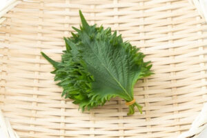 Bouquet de condiment vert